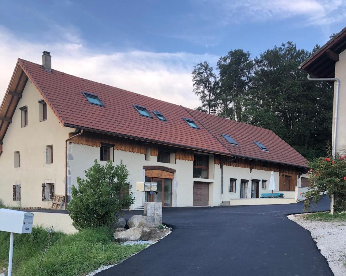 T2 Meuble De 40M2 Axe Annecy/Geneve Leilighet Saint-Martin-Bellevue Eksteriør bilde
